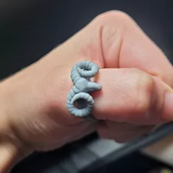 Ring of the Ram