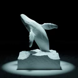 The Jumping Whale