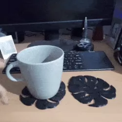 Tropical Leaf Coaster