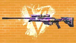 VALORANT DEFAULT OPERATOR