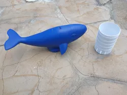 Whale Pool buoy