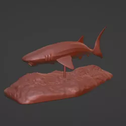 Whale Shark