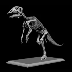 BABY MAIASAURA POSE 2 TO 1:1 SCALE PARTE 2 DE 3