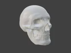 Calavera