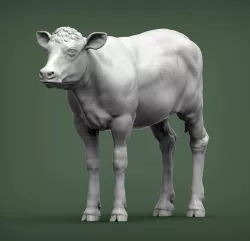 Calf 3D print model
