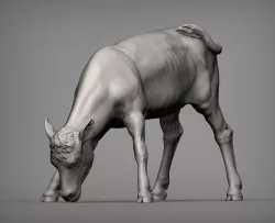 CALF 3D PRINT MODEL