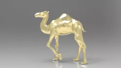 camel
