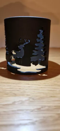 Can fitting car
