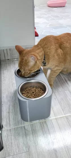 CAT FEEDER