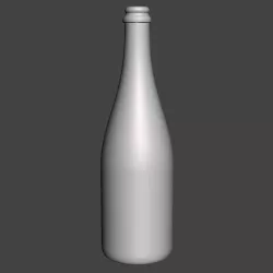 CHAMPAGNE BOTTLE