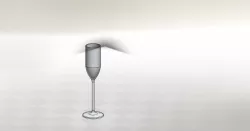 Champagne Glass