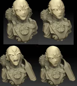 Commander Snowmane Bust and heads