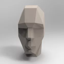 faceted head low poly low poly faceted head