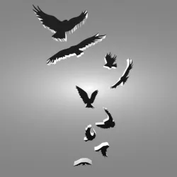 Fly Birds