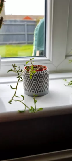 GEOMETRIC POT 2 collection #1