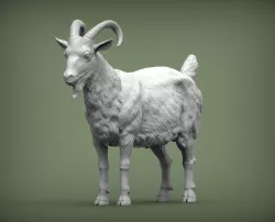 Goat 3D print model