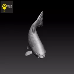 Koi Fish - Ready for 3d print