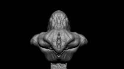 Kraken monster bust presupported