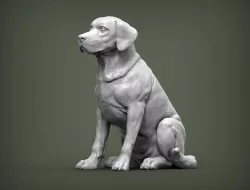 Labrador 3D print model