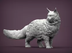 MAINE COON 3D PRINT MODEL