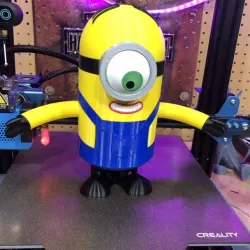 Minion Stuart Multi Color