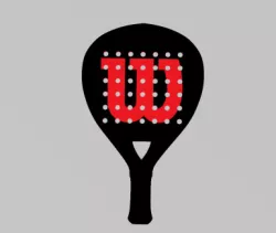 Paddle Paddle