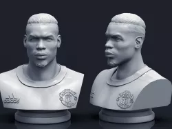 Paul Pogba 3D Printable Bust