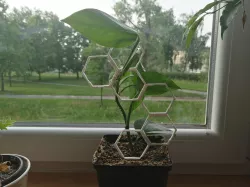 Plant support