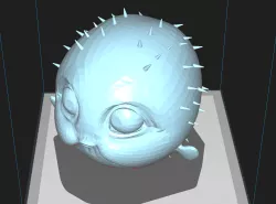 Puffer Fish