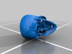 RCS Skull
