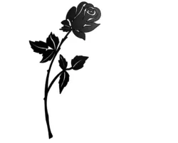 Rose wall art