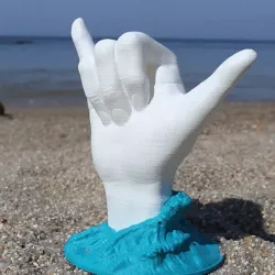 Shaka - surfer hand sign - No supports