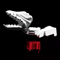 SKELETOR TERROR DRAGON