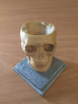Skull
