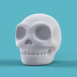 Skull Form Art Sculpture