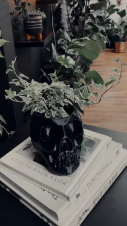 Skull Vase