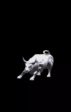 Toros