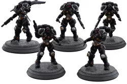 Umbral Rage Magpies - Shadow Stalkers (The Terrors)