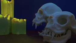 Vampire Skull