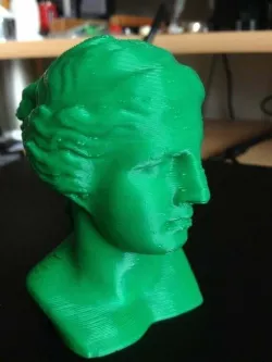 Venus bust