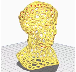 Venus Voronoi Model