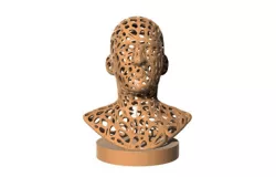 Voronoi Male Face sculpture