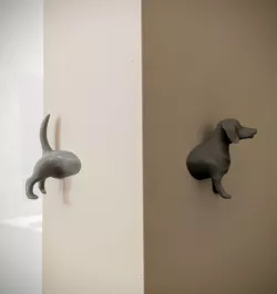 wall dog