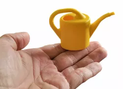 Watering can