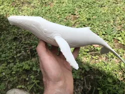 Whale