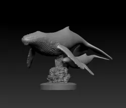 Whales