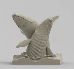 whales jumping