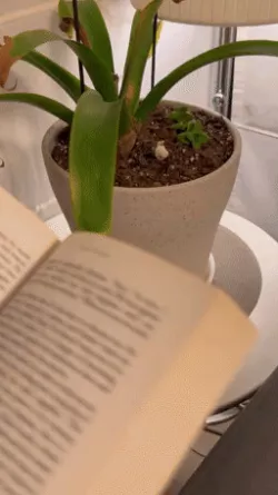 Xeno Jaw Bookmark
