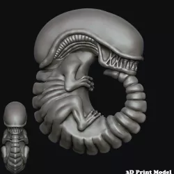 Xenomorph Alien Embryo