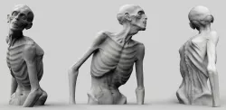 Zombie Half Body